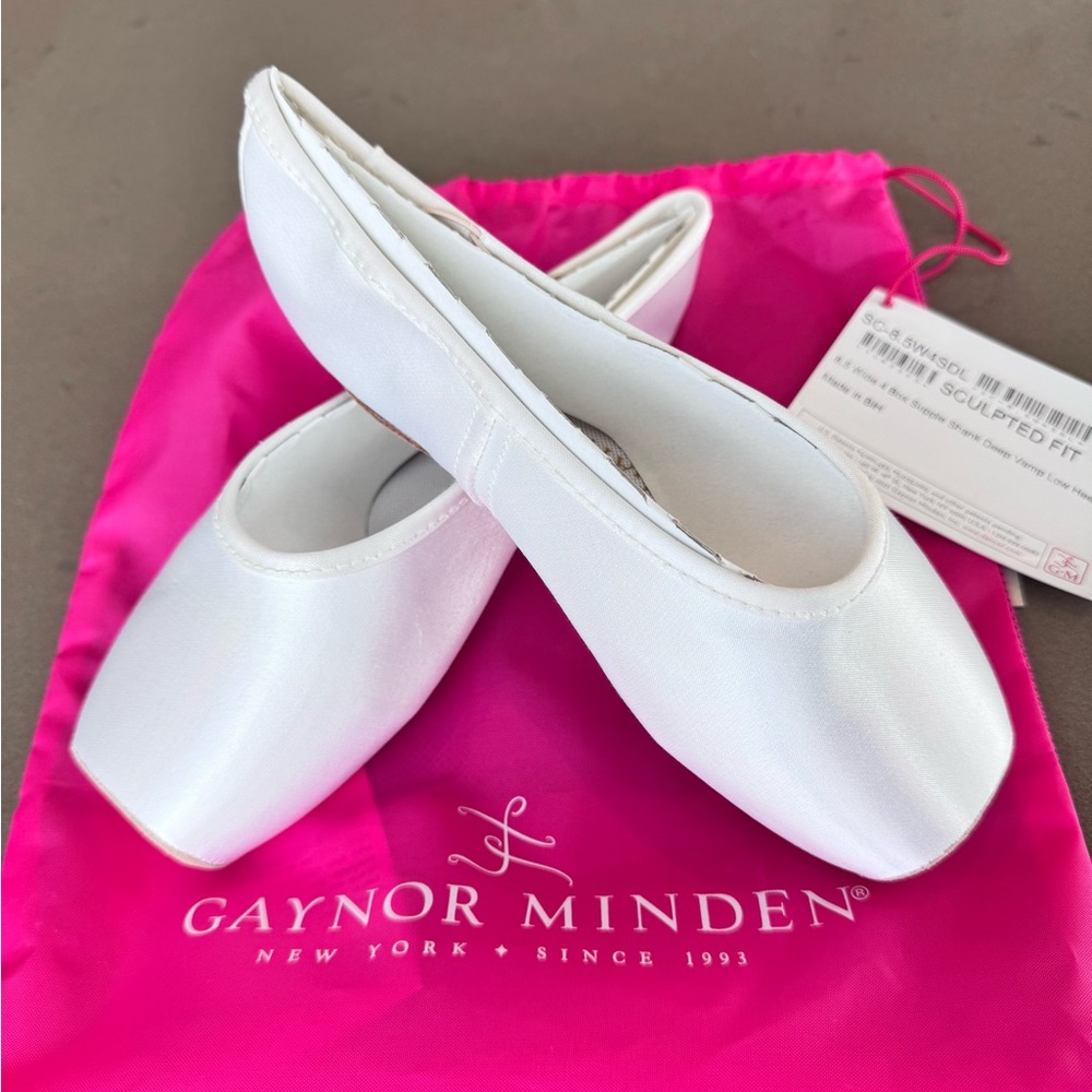 NWT! - Gaynor Minden Pointe Shoes